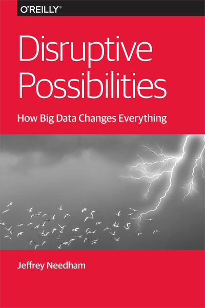 Disruptive Possibilities: How Big Data Changes Eve...