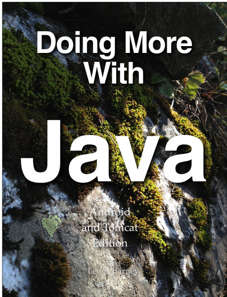 Doing More With Java