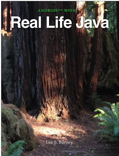 Real Life Java
