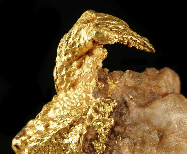 The Big Data Gold Rush