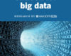A Near Term Outlook for Big Data