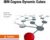 Big Data Analytics with IBM Cognos Dynamic Cubes