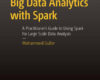 Big Data Analytics with Spark