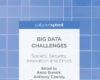 Big Data Challenges