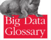 Big Data Glossary