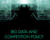 Big Data and Competition Policy