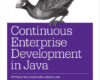 Continuous Enterprise Development in Java
