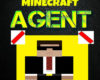 Diary of a Minecraft Agent