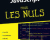 HTML et Javascript pour les nuls