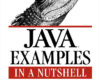 Java Examples in a Nutshell