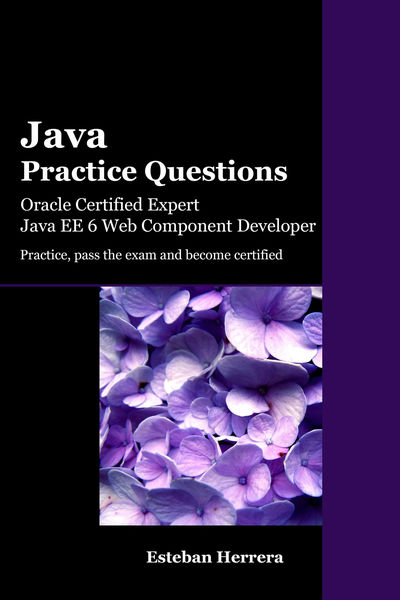 Java Practice Questions: Oracle Certified Expert, ...