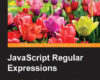 JavaScript Regular Expressions