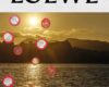 LOEWE Publication No.11