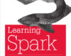 Learning Spark