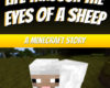 Life Through the Eyes of a Sheep