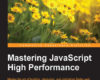 Mastering JavaScript High Performance
