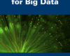 Metaheuristics for Big Data