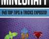 Minecraft 140 Top Tips Tricks Exposed 2014 Ed