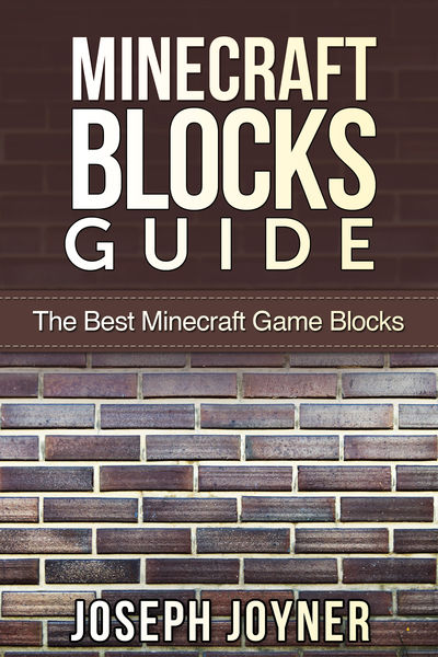 Minecraft Blocks Guide