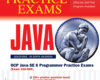 OCP Java SE 6 Programmer Practice Exams Exam 310