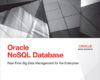 Oracle NoSQL Database Real Time Big Data Manageme