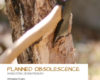 Planned Obsolescence