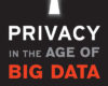 Privacy in the Age of Big Data