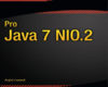 Pro Java 7 NIO.2