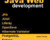 Rapid Java Web Development