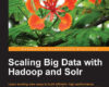 Scaling Big Data with Hadoop and Solr