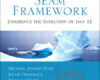 Seam Framework Experience the Evolution of Java E
