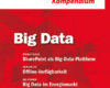 SharePoint Kompendium Bd.4 Big Data