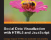 Social Data Visualization with HTML5 and JavaScrip