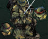 Teenage Mutant Ninja Turtles Microseries Volume 1