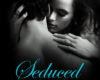 The Billionaires Design Part 1 Seduced by the