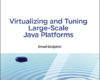 Virtualizing and Tuning Large Scale Java Platforms