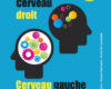 cerveau droit cerveau gauche developpez vos facu