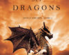 le reveil des dragons rois et sorciers livre 1