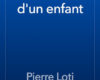le roman dun enfant