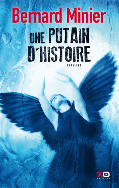 Une putain dhistoire
