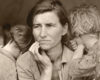 de tragische lotgevallen van de familie mikolajenk