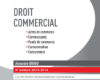 droit commercial 2013 2014