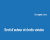 droit dauteur et droits voisins 4e edition