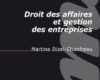 droit des affaires et gestion des entreprises