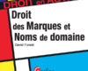 droit des marques et des noms de domaine