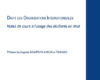 droit des organisations internationales