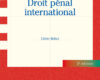 droit penal international