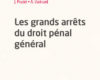 les grands arrets du droit penal general