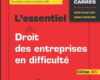 lessentiel du droit des entreprises en difficulte