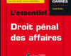 lessentiel du droit penal des affaires